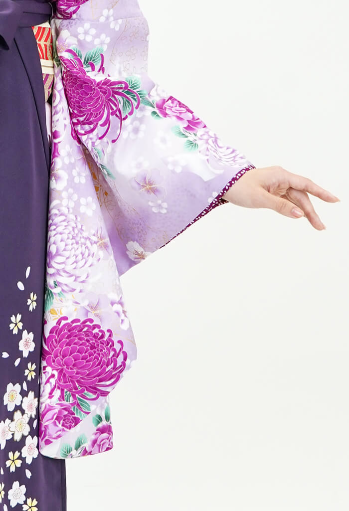 レンタル袴：HL薄紫バラに菊×ムラサキ友シダレザクラ