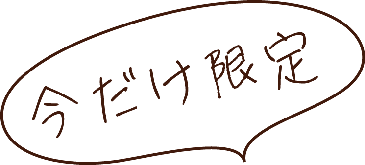 スタジオ前撮りパック特別割引 今だけ限定