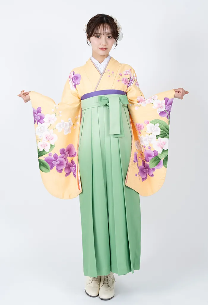 黄胡蝶蘭×パステルグリーンぼかし