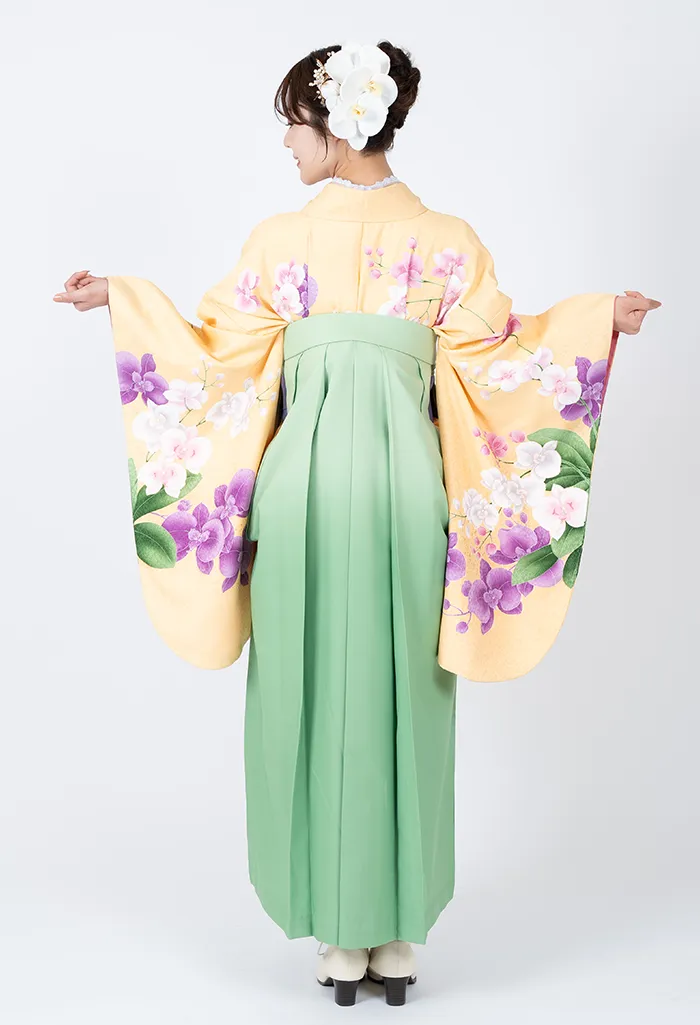 卒業式袴レンタル G00012_K00079 着物：黄胡蝶蘭 袴：パステルグリーンぼかし